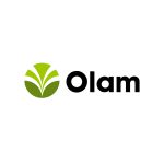 olam